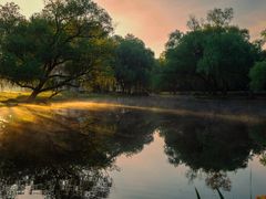 -上海共青森林公园