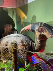 -恐龙探索乐园(磁器口店)