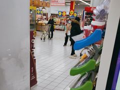 -大润发(张江店)