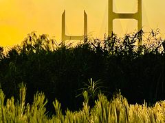 -上海浦江郊野公园-5号停车场