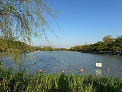 -江心屿景区