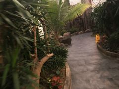 -滕头生态酒店(奉化店)