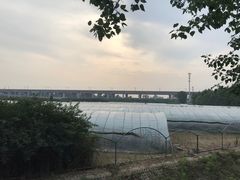 -庞各庄西瓜蔬菜采摘园·锦华瓜园