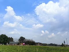 -中国天府农业博览园