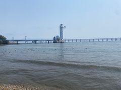 -星海广场