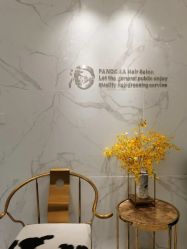 -潘多拉Hairsalon