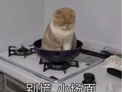 -黄记煌三汁焖锅(渝北金港国际店)