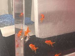 -海马体照相馆(正佳广场大师店)
