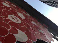 -乐纯(苹果社区店)