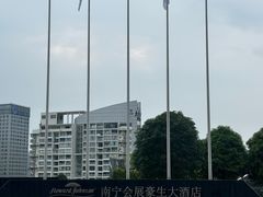 -南宁国际会展中心(会展东博文化旅游区)