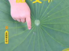 -天伦王朝酒店·盛华瑄餐厅