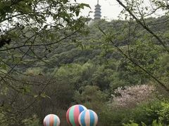 -苏州上方山国家森林公园
