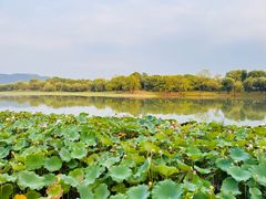-湘湖大院(越王路店)