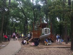-东湖落雁景区