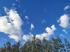 -东郊湿地公园