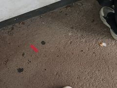 -普济寺素斋