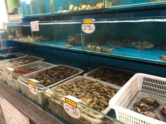 水产区-挪亚海味(金石滩商业中心广场店)