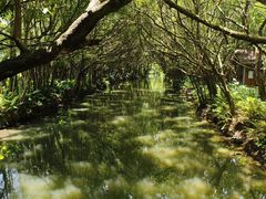-大湾区中央湿地公园