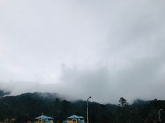 -海南热带雨林国家公园吊罗山景区