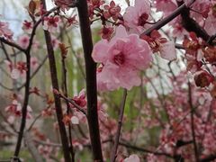 -堤角公园