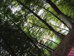 -金海湾滨江公园