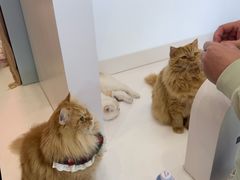 -天虹购物中心(深圳龙华店)