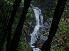 -石台牯牛降景区