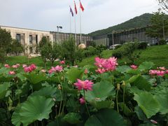 -北京丽景湾国际酒店