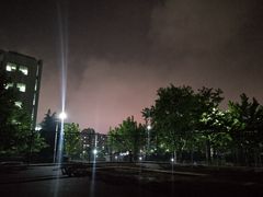 -青岛大学(金家岭校区)
