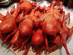 -鸽子侯·家宴·平价海鲜(市图书馆店)