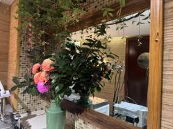 -至爱至信新中式SPA疗愈会所