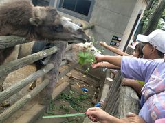 -昆明动物园