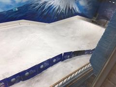 -Mr·Kuma酷么先生雪之乐园