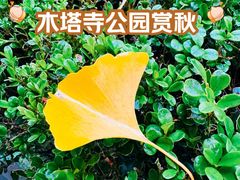 -木塔寺遗址生态公园