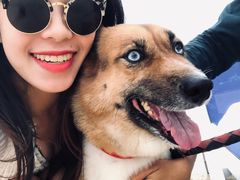 -惠州金海湾嘉华度假酒店