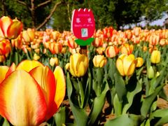 -长春公园(普阳街道)