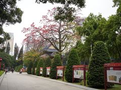 -广州中山纪念堂