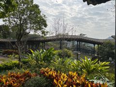 -顺峰山公园