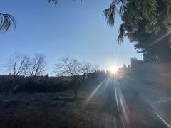 -武陵山森林公园
