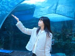 -海合安成都极地海洋公园