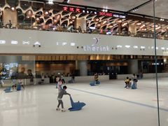 -TheRink大零溜冰场(IFS国金中心店)