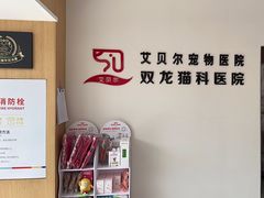 -艾贝尔宠物医院·24H转诊中心·肿瘤猫专科(江宁双龙店)
