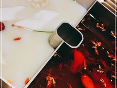 -九鼎轩脆毛肚火锅(南京东路店)