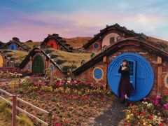 -武汉紫薇都市田园