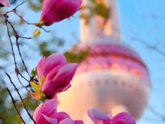 -东方明珠广播电视塔