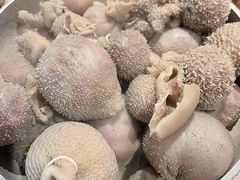 -清真京华源·涮肉烧烤(丰庆店)