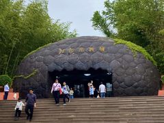 -中国西峡恐龙遗迹园