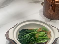 -同乐馆(阳光店)