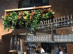 -辛德勒啤酒德餐厅