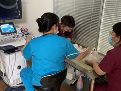 -宠颐生中康贝怡动物医院